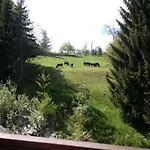 La Grande Cordée - Cœur D'alpage Appartamento *