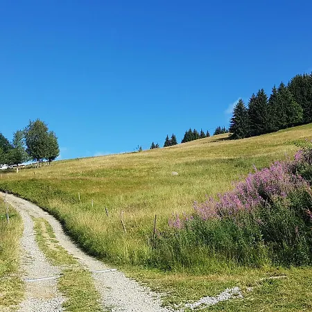 Daire La Grande Cordee - Coeur D'alpage *