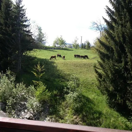 La Grande Cordee - Coeur D'alpage Daire *